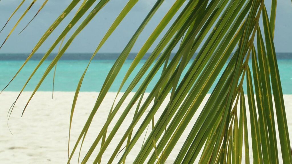 Zanzibar Visa Requirements hero