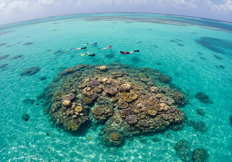 Snorkeling at Mnemba Atoll Zanzibar with clear water and colorful coral reef