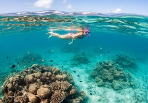 Sansibar Tauchen & Schnorcheln - Schnorcheln am Mnemba Atoll Sansibar mit farbenprächtigem Korallenriff und tropischen Fischen.