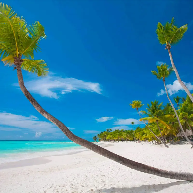 Une plage tropicale isolée à Zanzibar avec du sable blanc et des palmiers, idéale pour un mariage à destination.